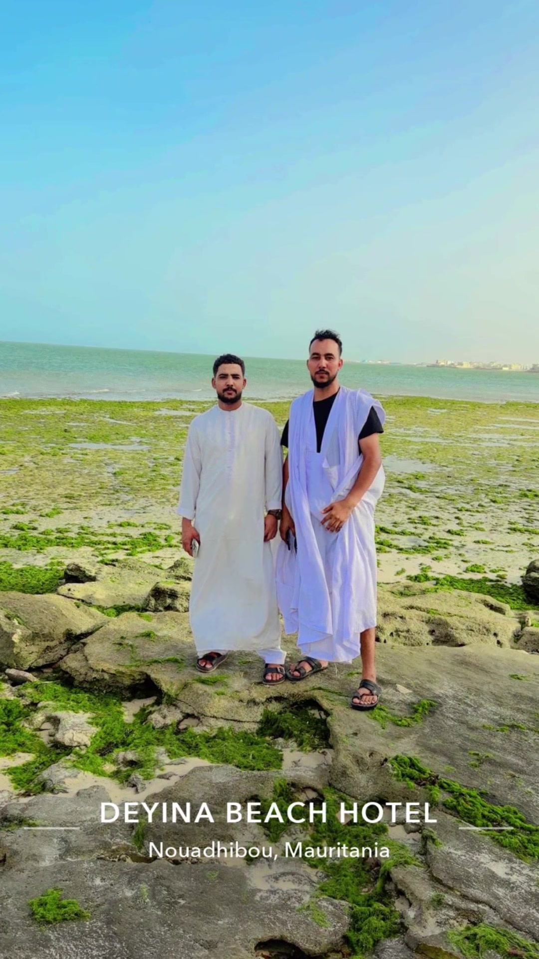@وليد الساحل