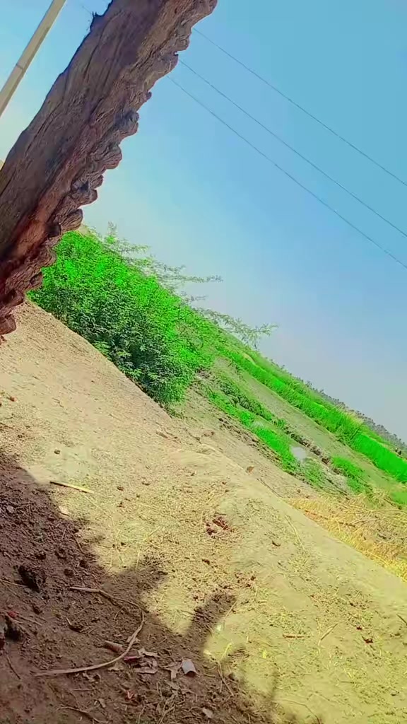 @Sahil Qureshi