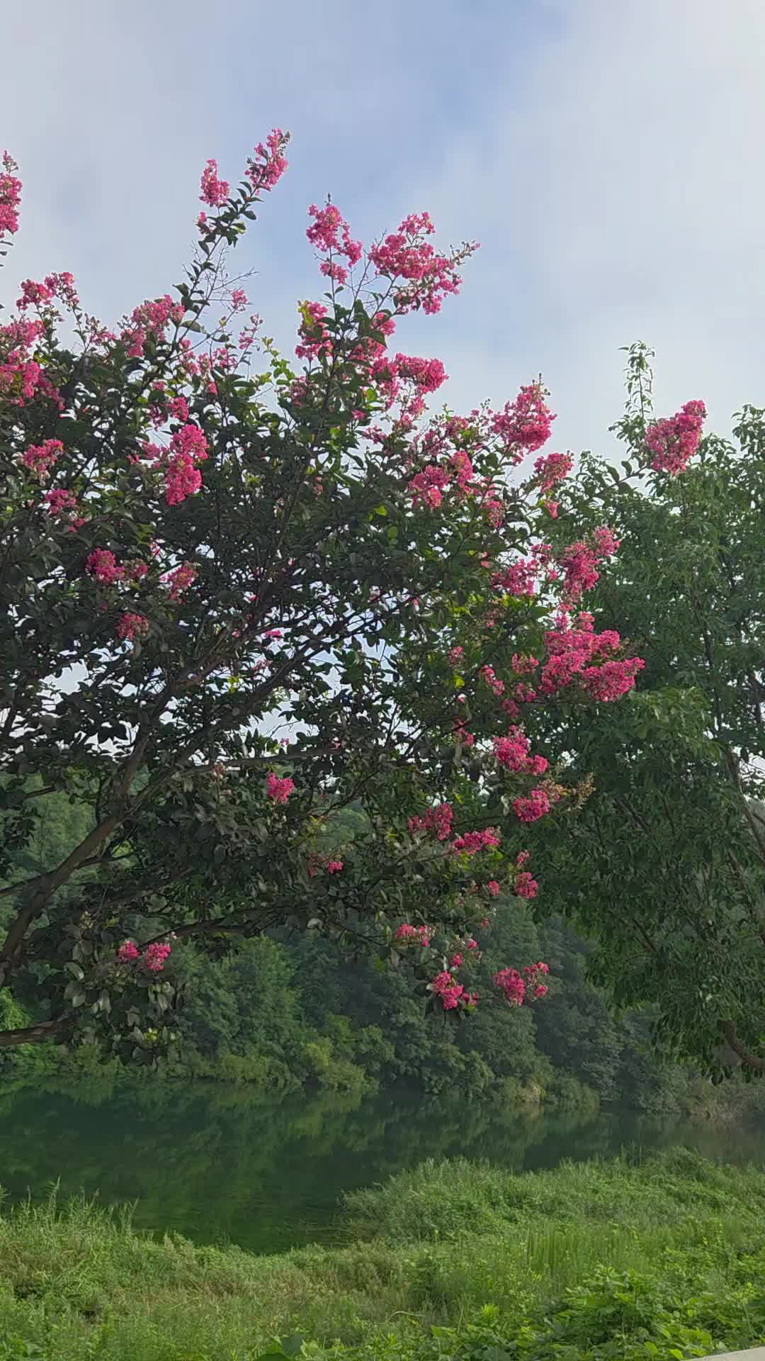 @법무사