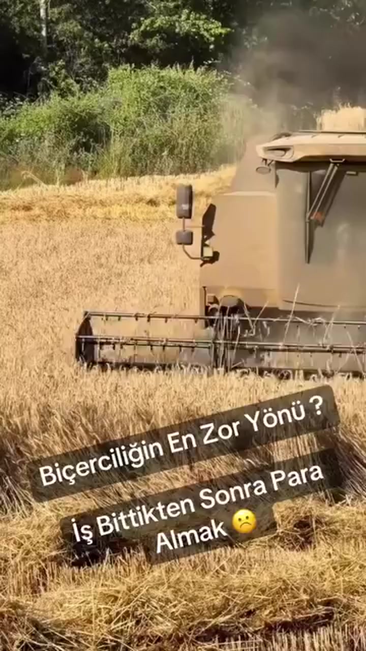 @yetiş &ccedil;i&ccedil;ek
