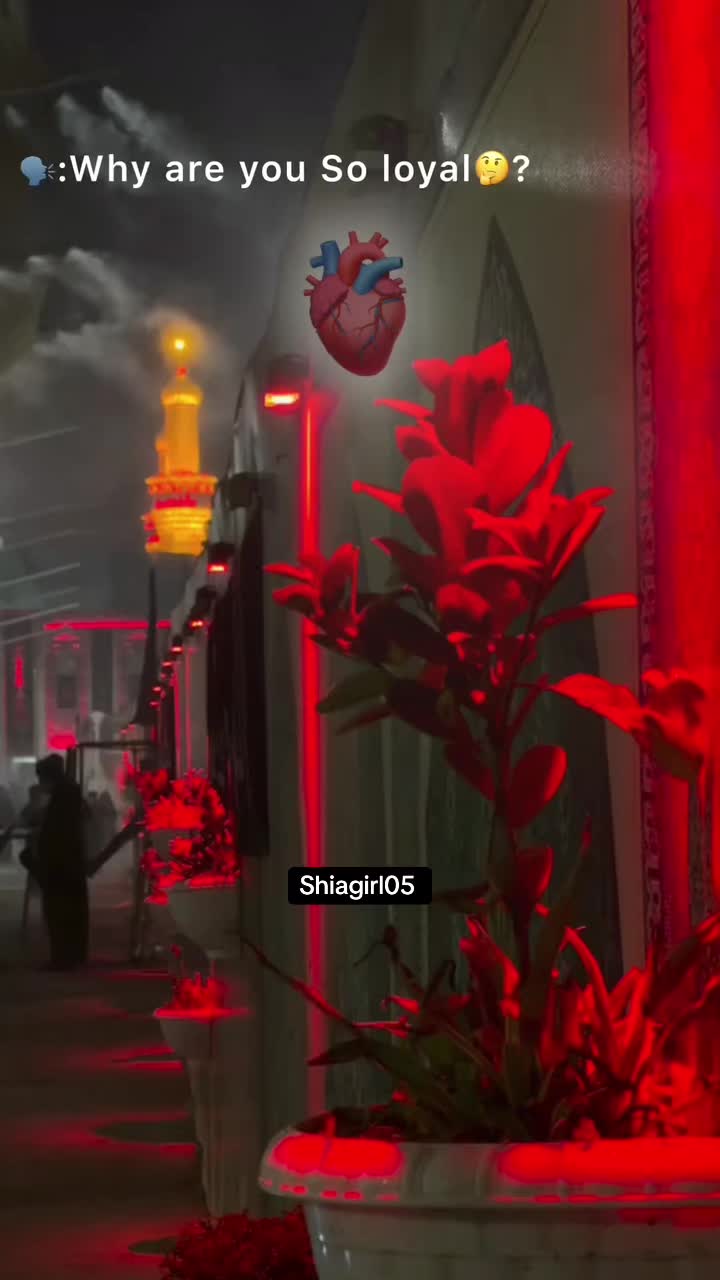 @سیدہ فاطمہ♡