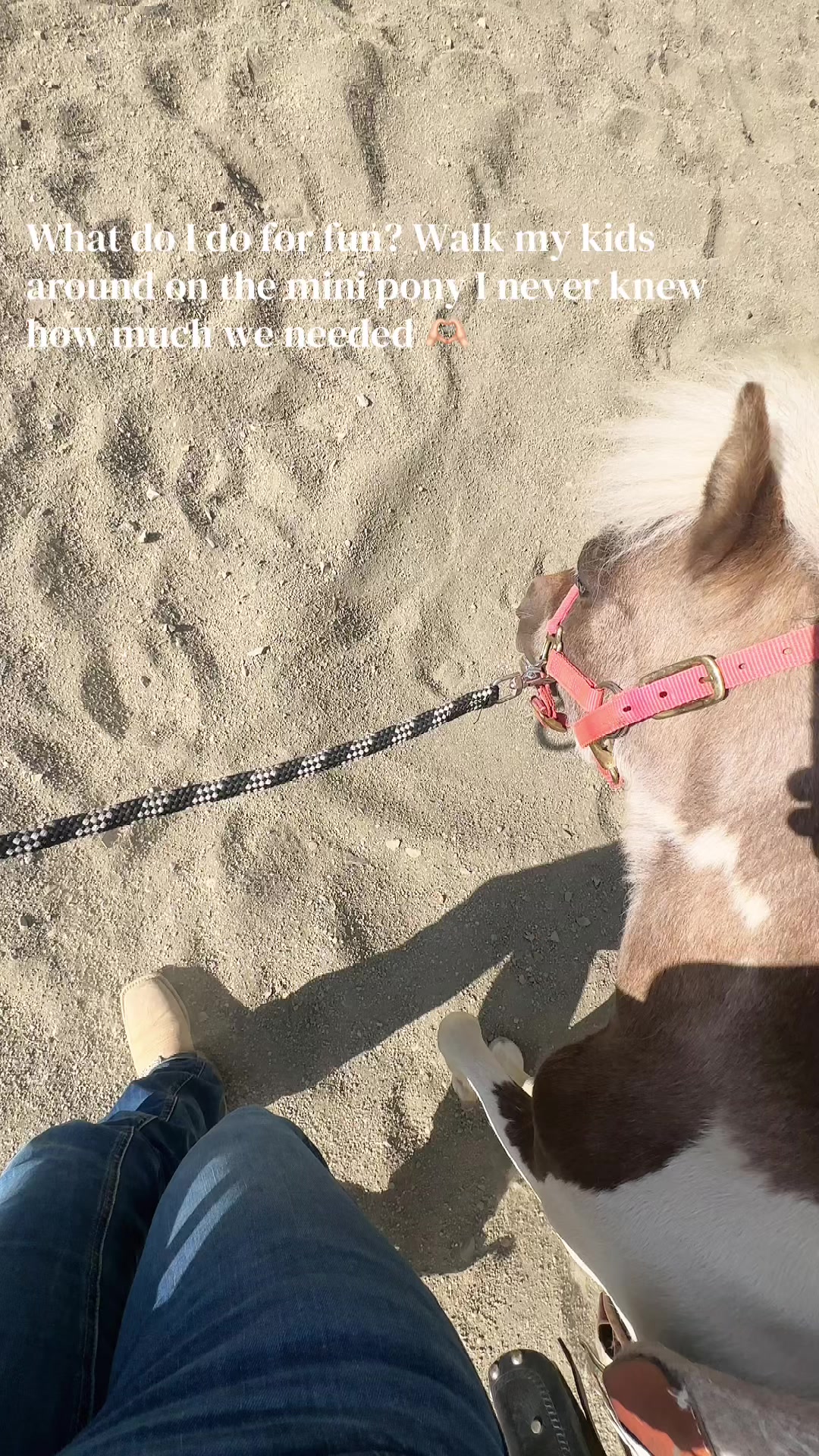 @Cait | Red Mare Owner