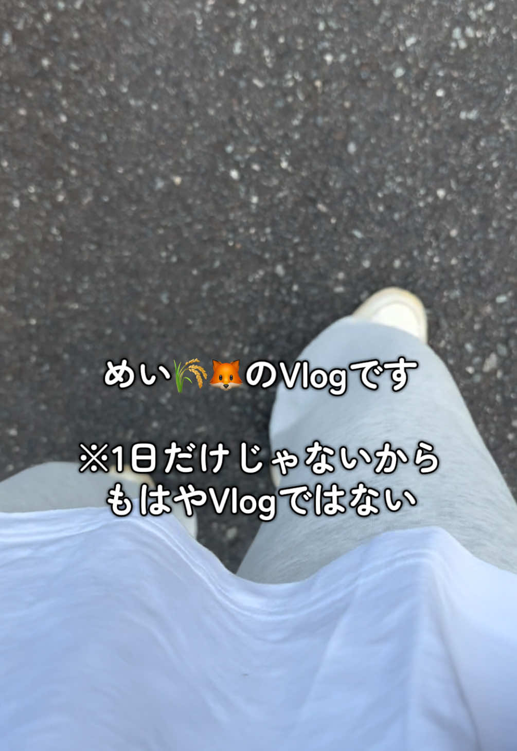 @めい🌾🦊