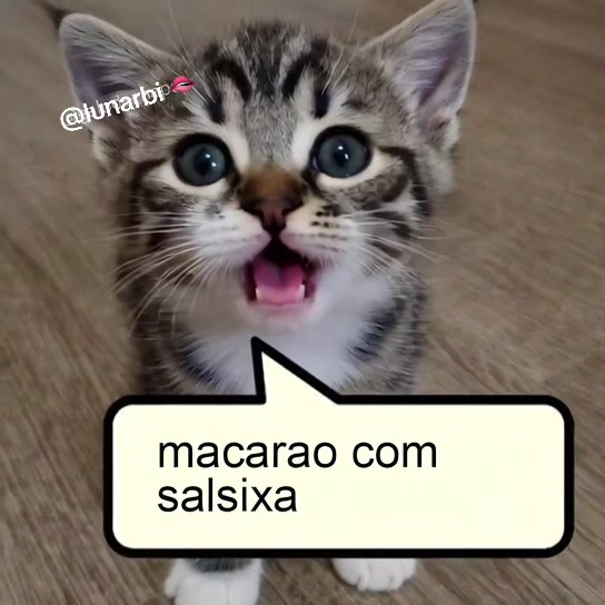 @lunarbi 🫦