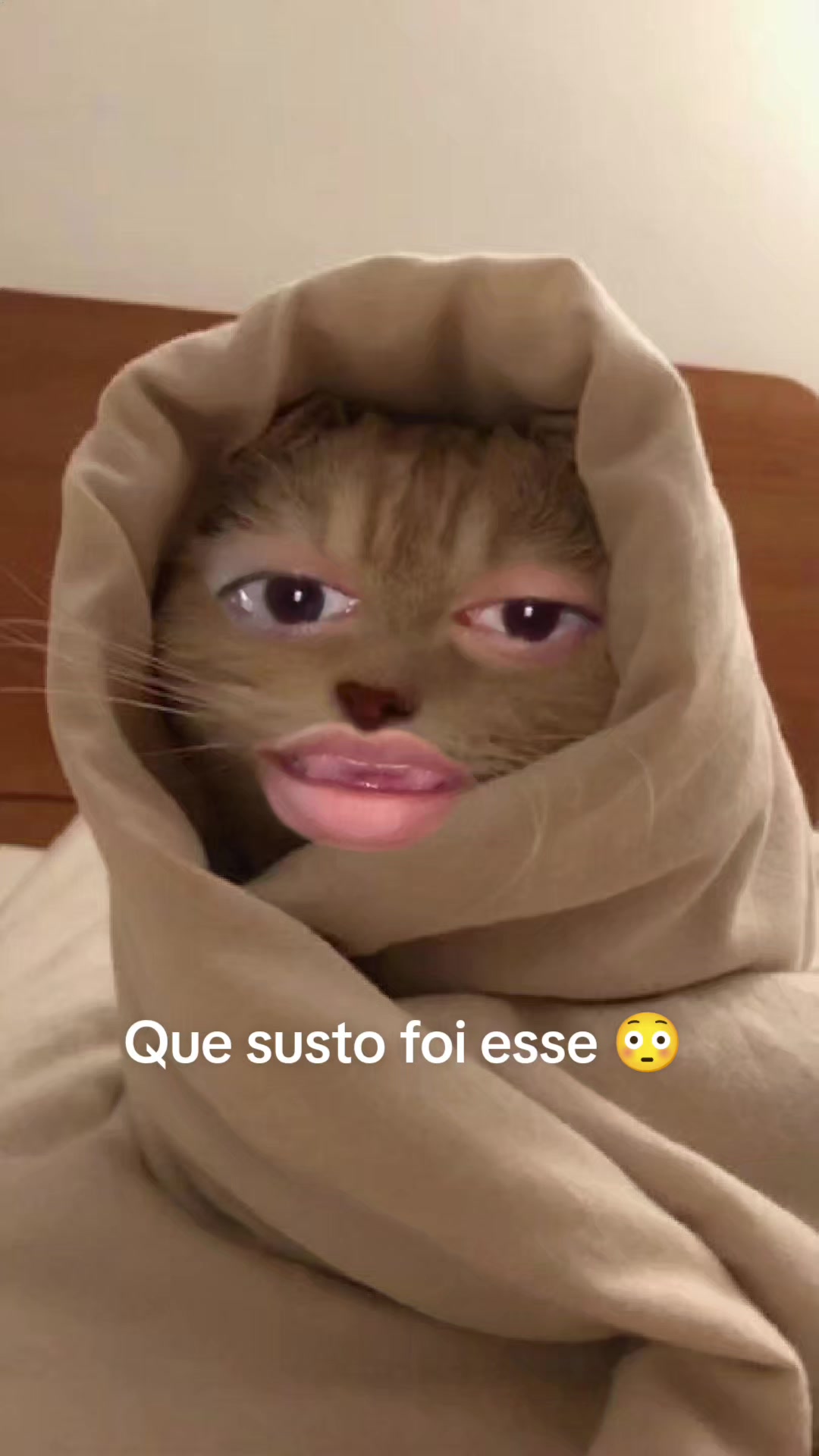 @Jana_016