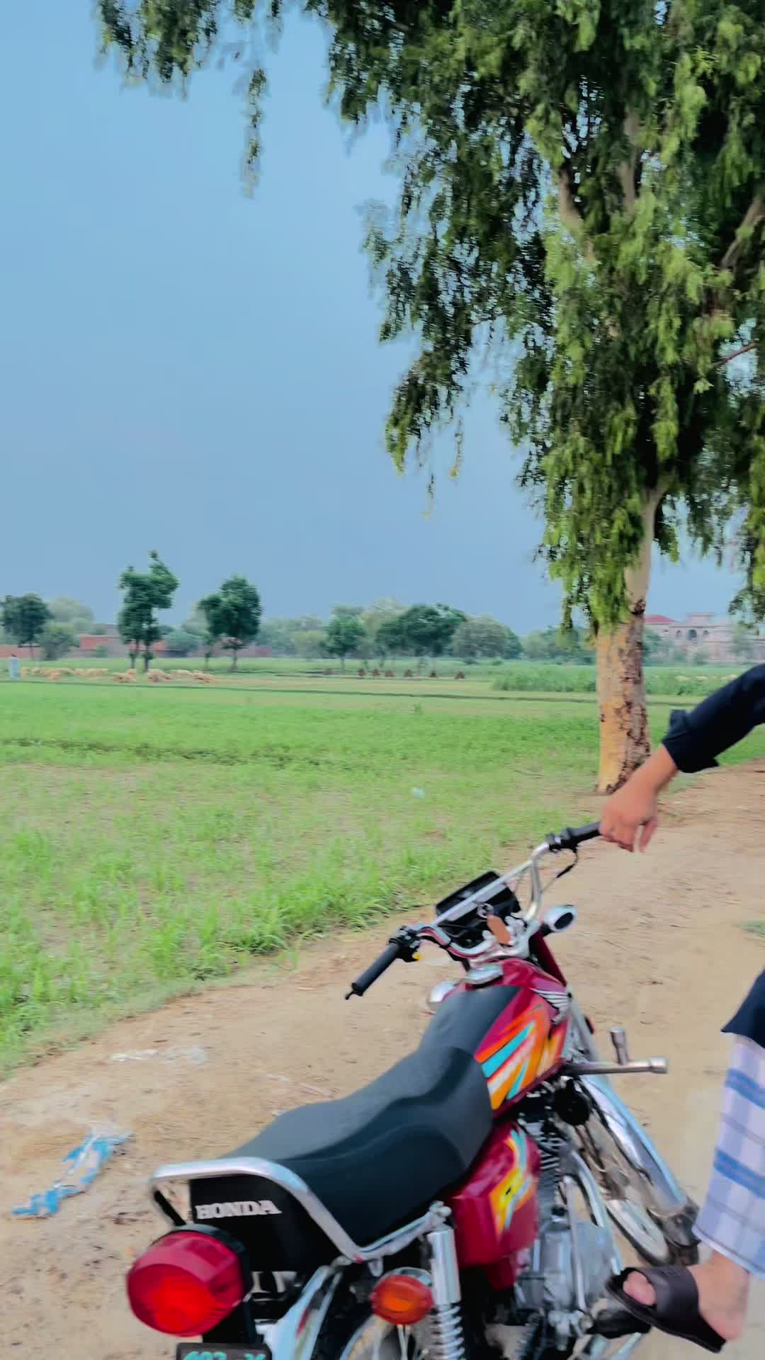 @Gaggi Mehar