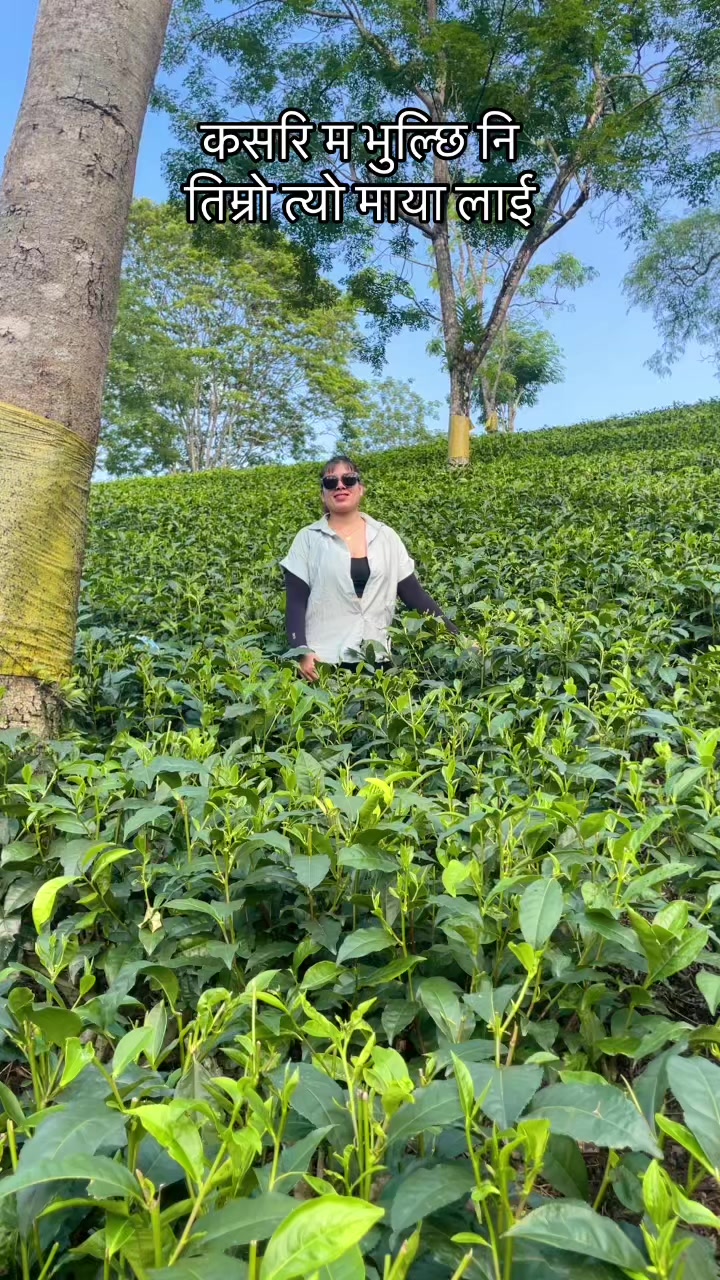 @tiktok-queen