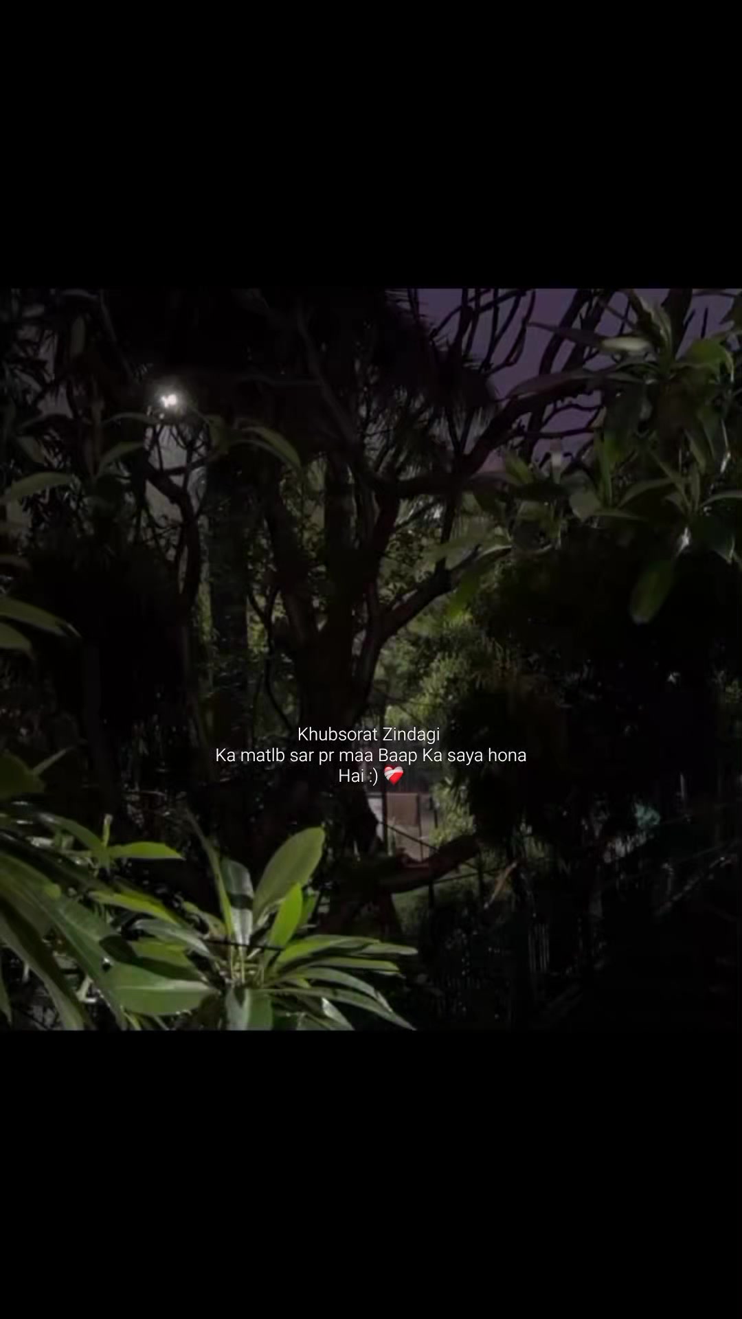 @𝐀𝐋𝐈𝐘𝐀𝐍♟️