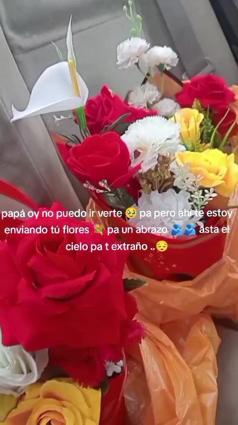 @Isabel Carrión