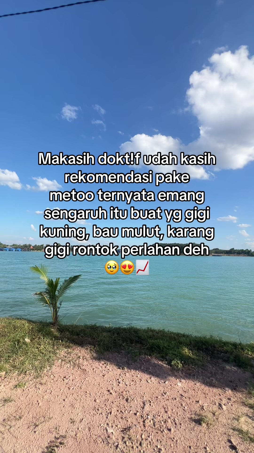 @cha.store12