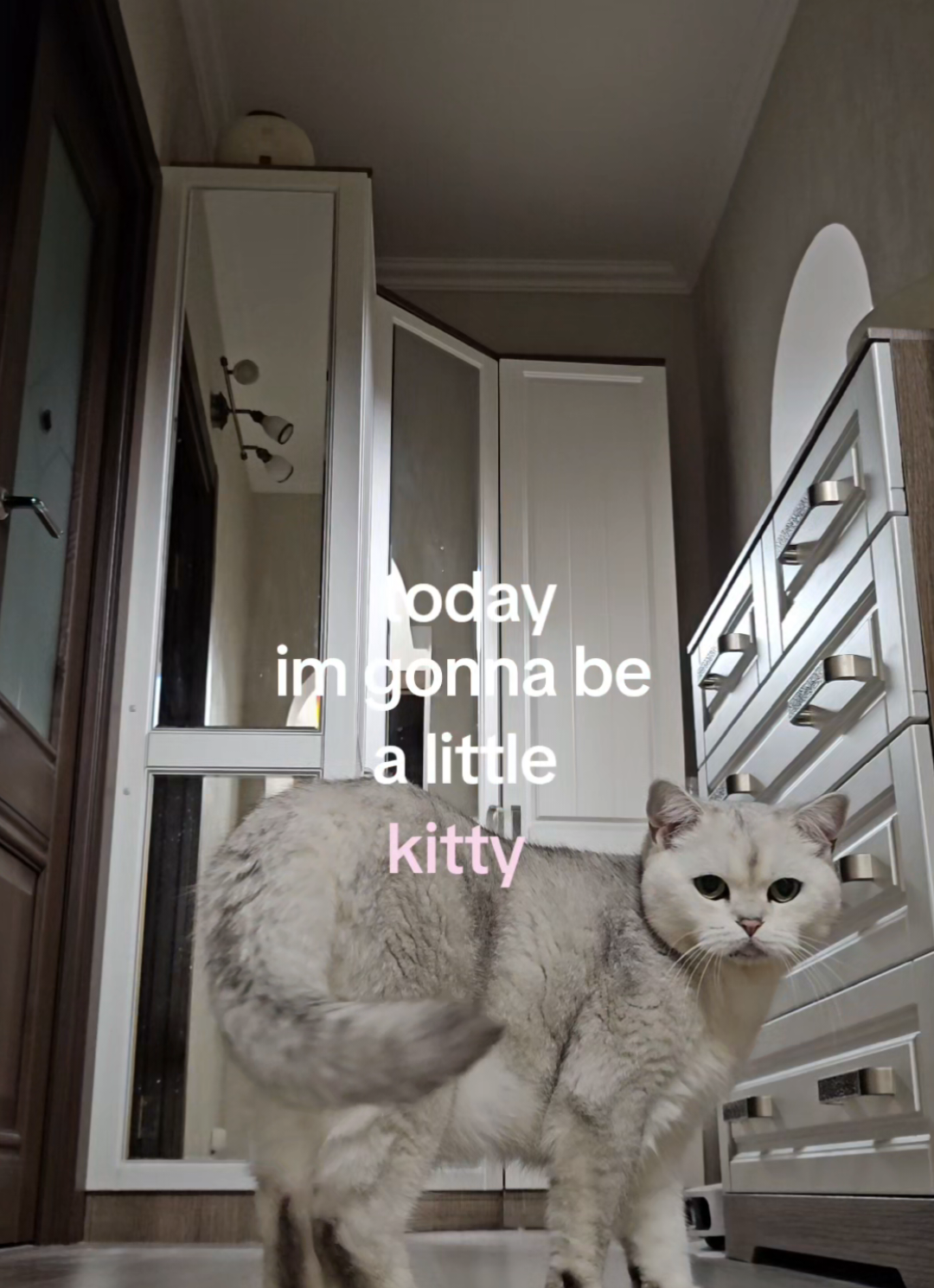 @лапуля