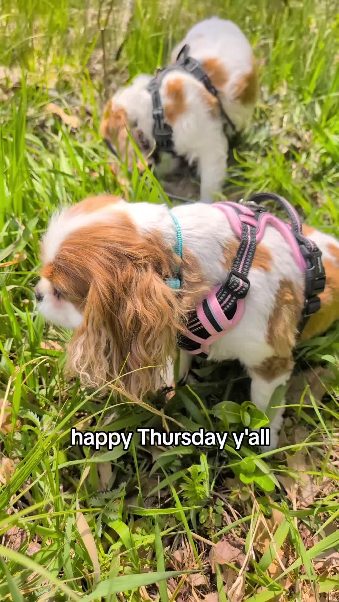 @JessWetsHerPlants🌿😶🌫️✨