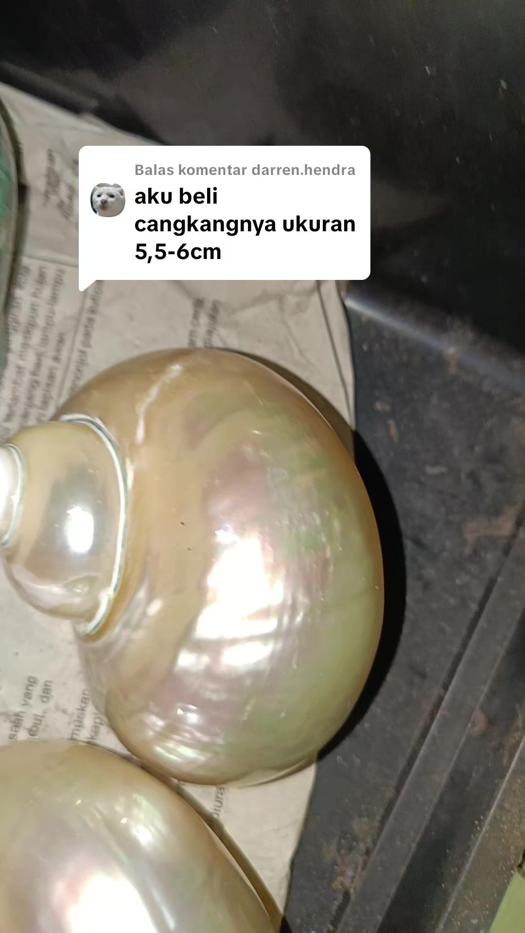 @Kudojiraiya