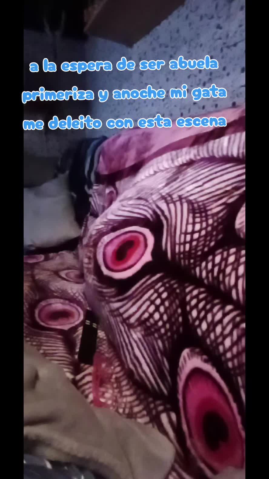 @Ana y los cuatro🐾