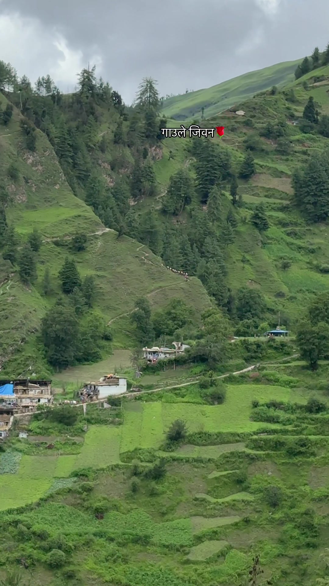@Bhimraj_45 