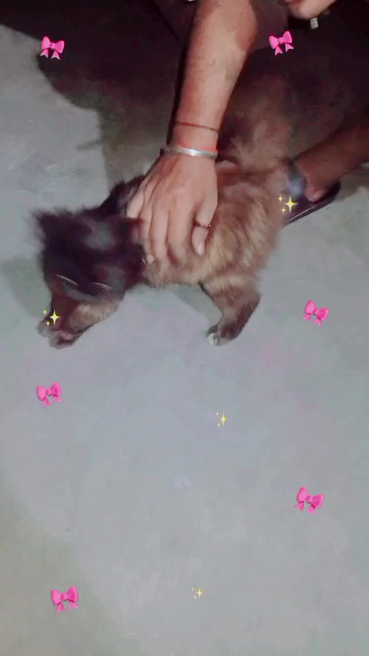 @mariyam 786