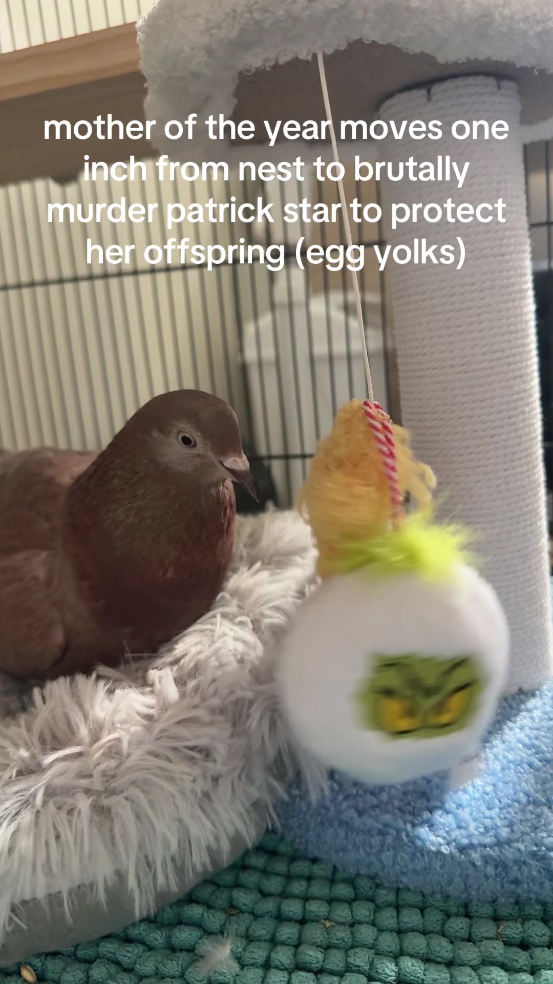 @hugeglorp