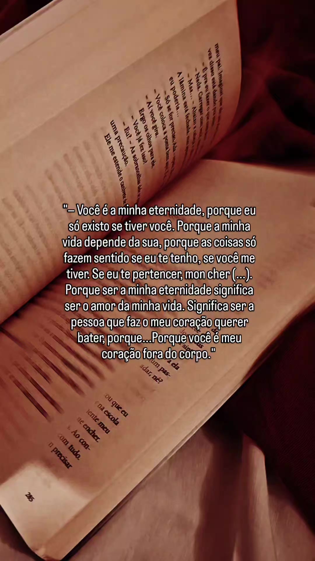 @estante da bel