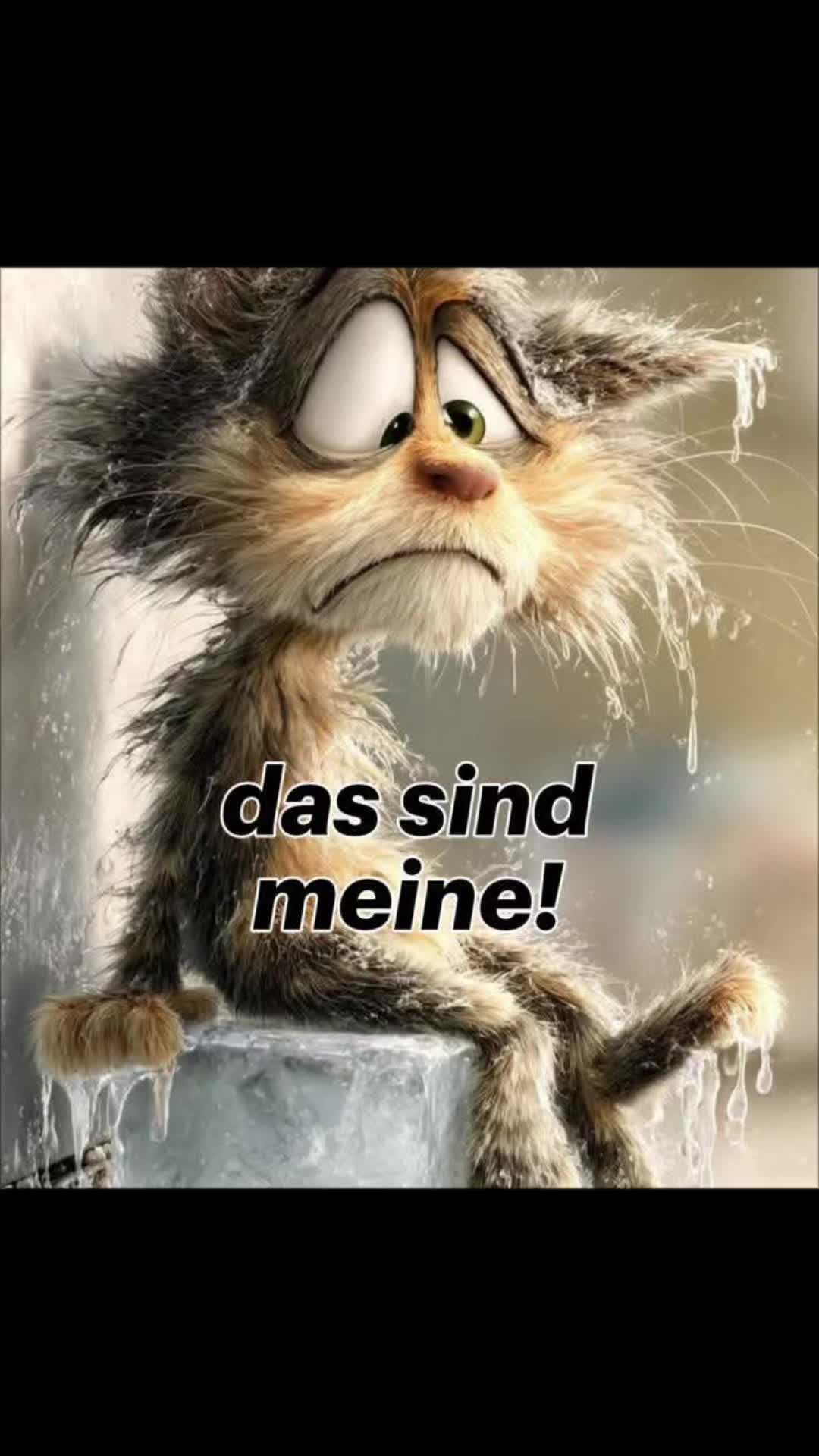 @Hedi