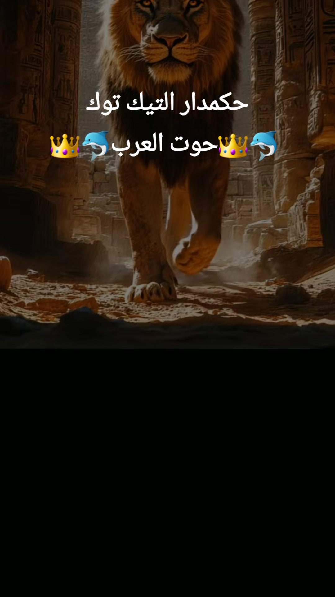 @zozo planet🐳 7oot.elarab🐳