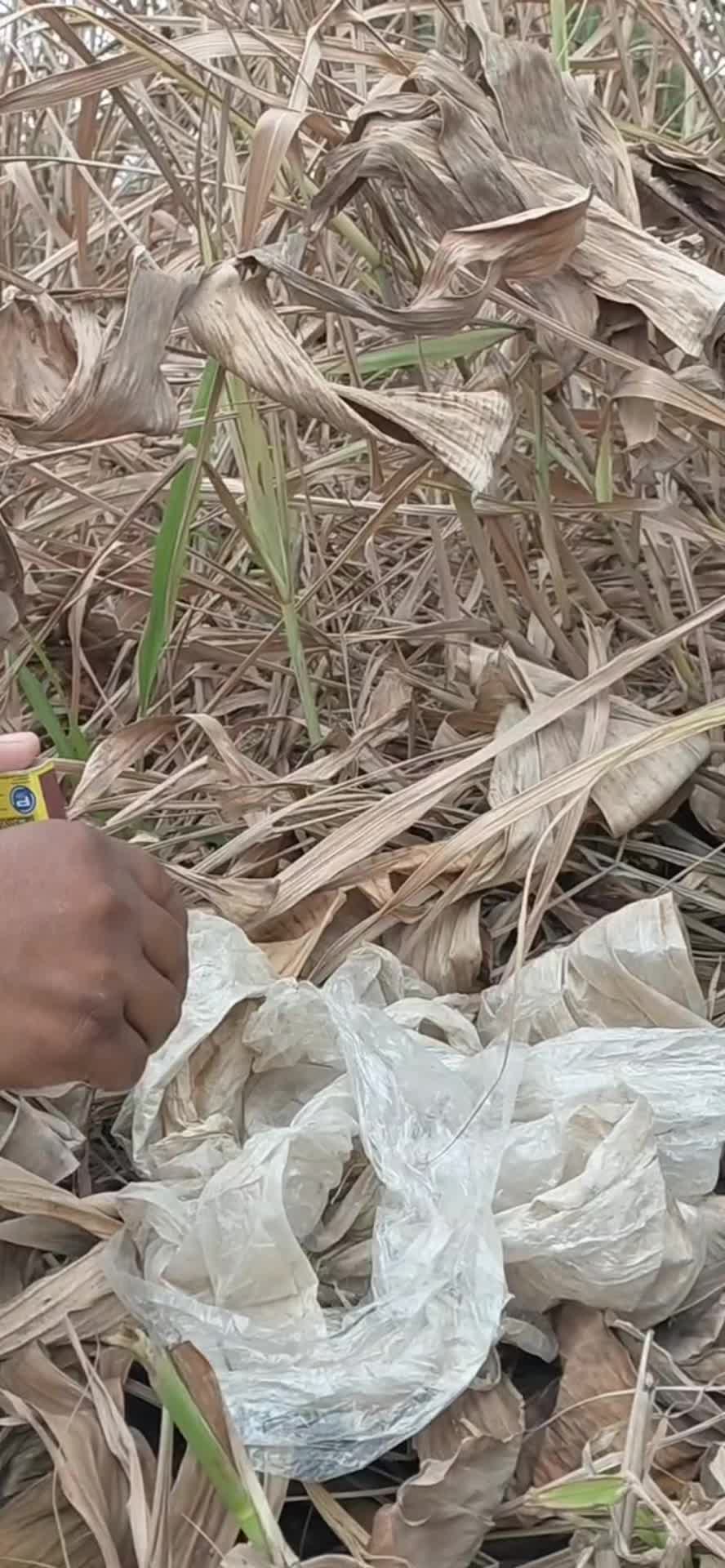 @Bomberos Babahoyo