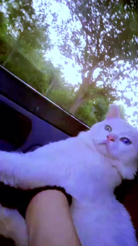 @𝓜𝔂𝓼𝓽𝓮𝓻𝓲𝓸𝓾𝓼 𝓰𝓲𝓻𝓵,