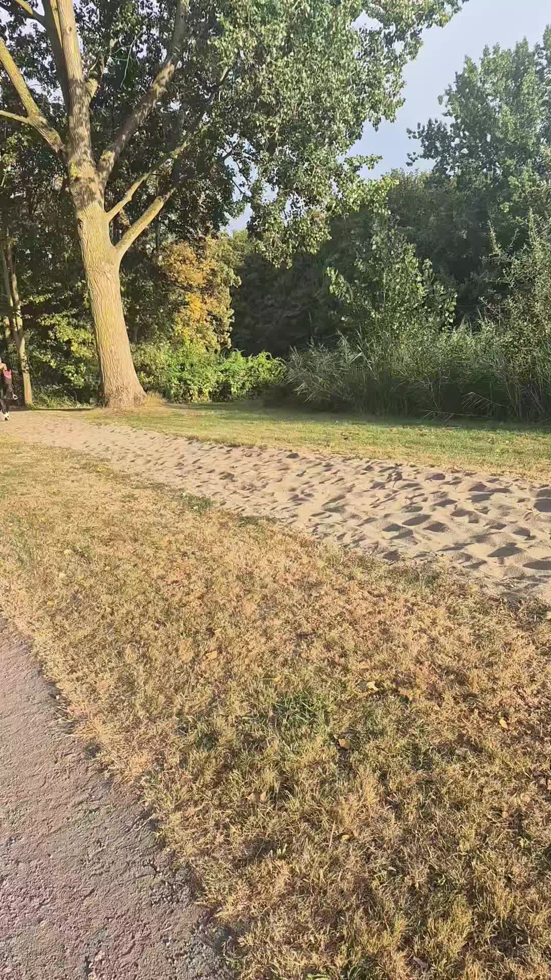 @🇳🇱Lana Van de schuur🇳🇱