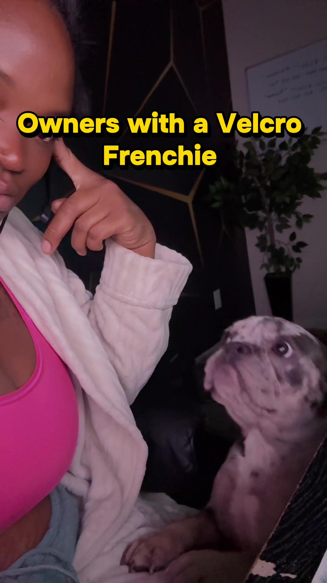 @kamisweets