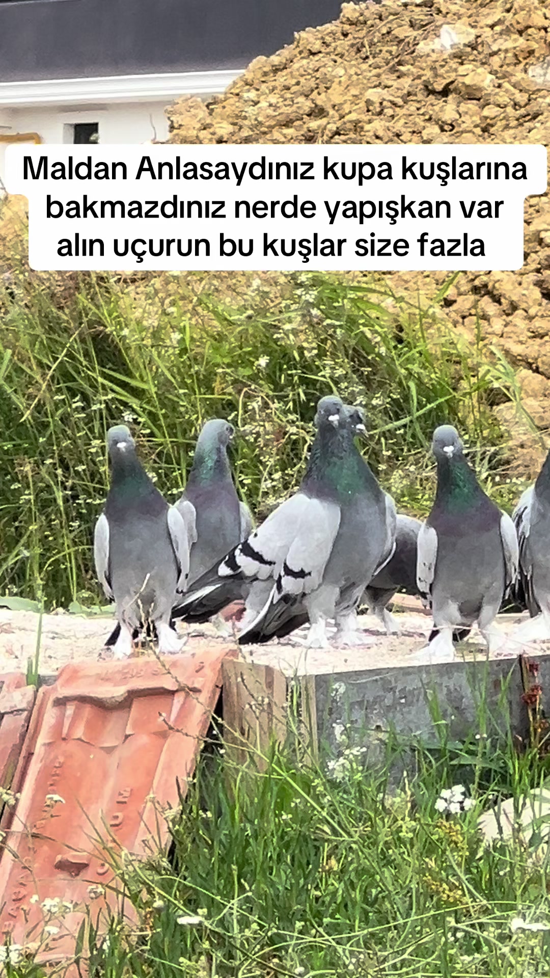 @Ufuk Ak&ccedil;ay MATADORLAR