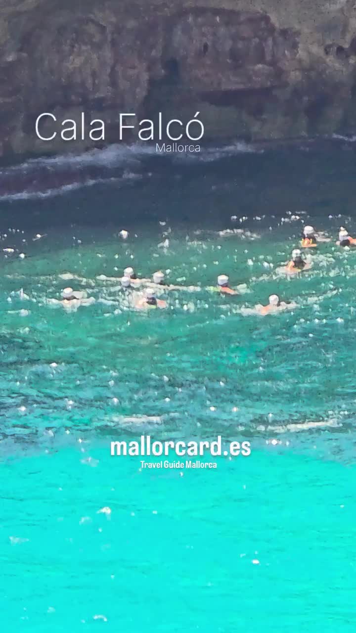 @Mallorca Insider mallorcard.es