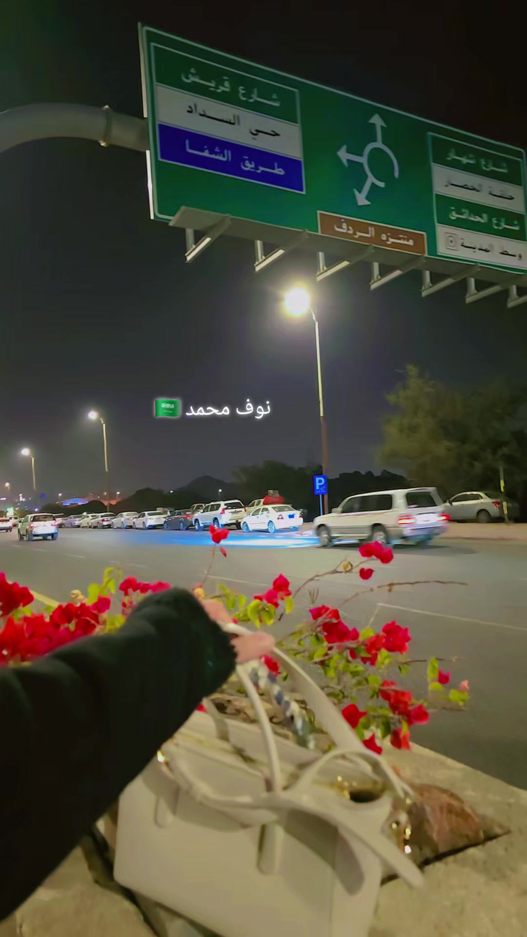 @نوف بنت محمد🇸🇦💙