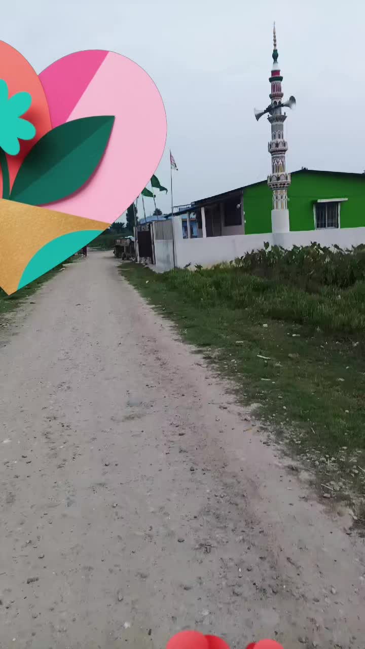 @MD Jamshed Rain