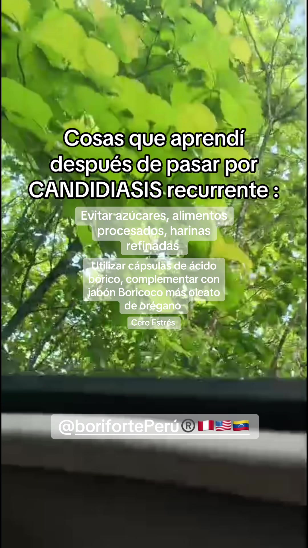 @🌷 BORI forte &reg;️🌷🇵🇪🇨🇴🇺🇸