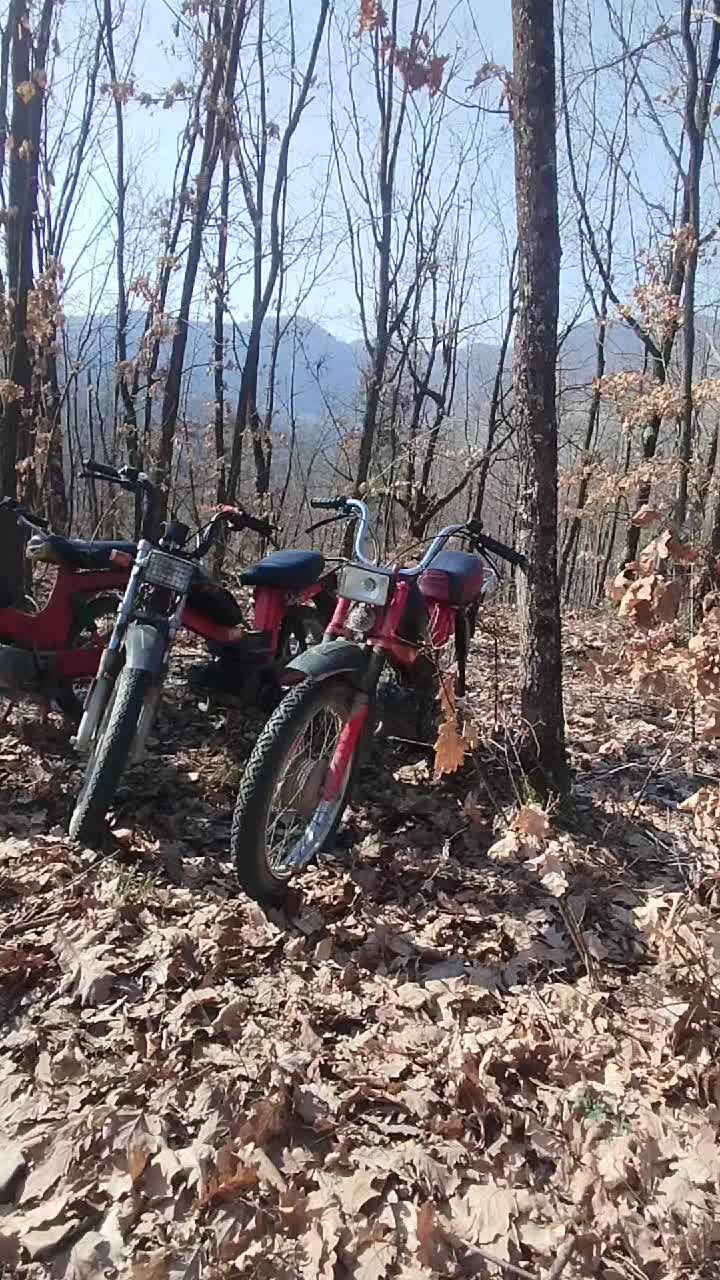 @Acimovic1235