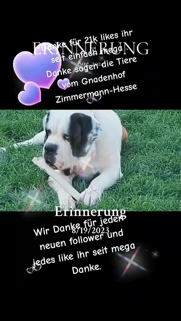 @Gnadenhof Zimmermann-Hesse