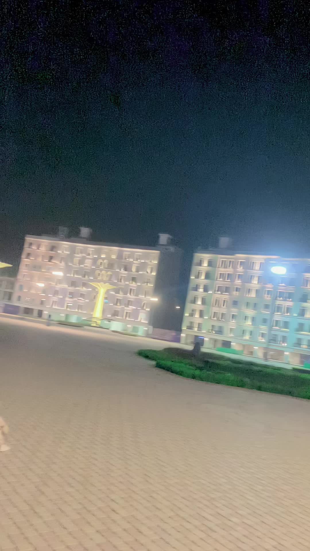 @✌️🇵🇰👑ملک حسنین🦅🐯