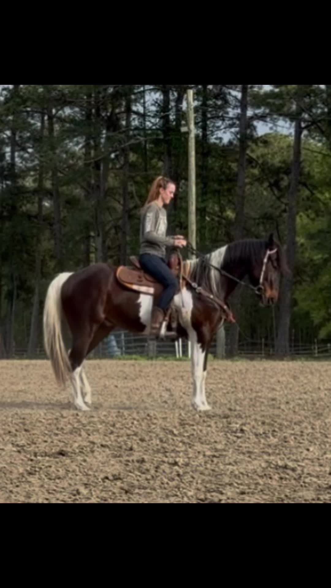 @Brit. L | Barrel Racer