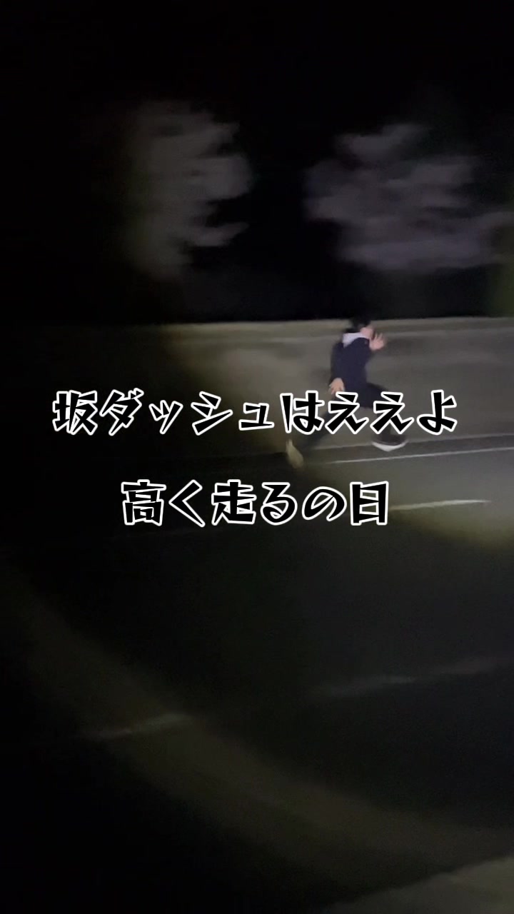 @イッヌ(棒高跳日本選手権目指す人)