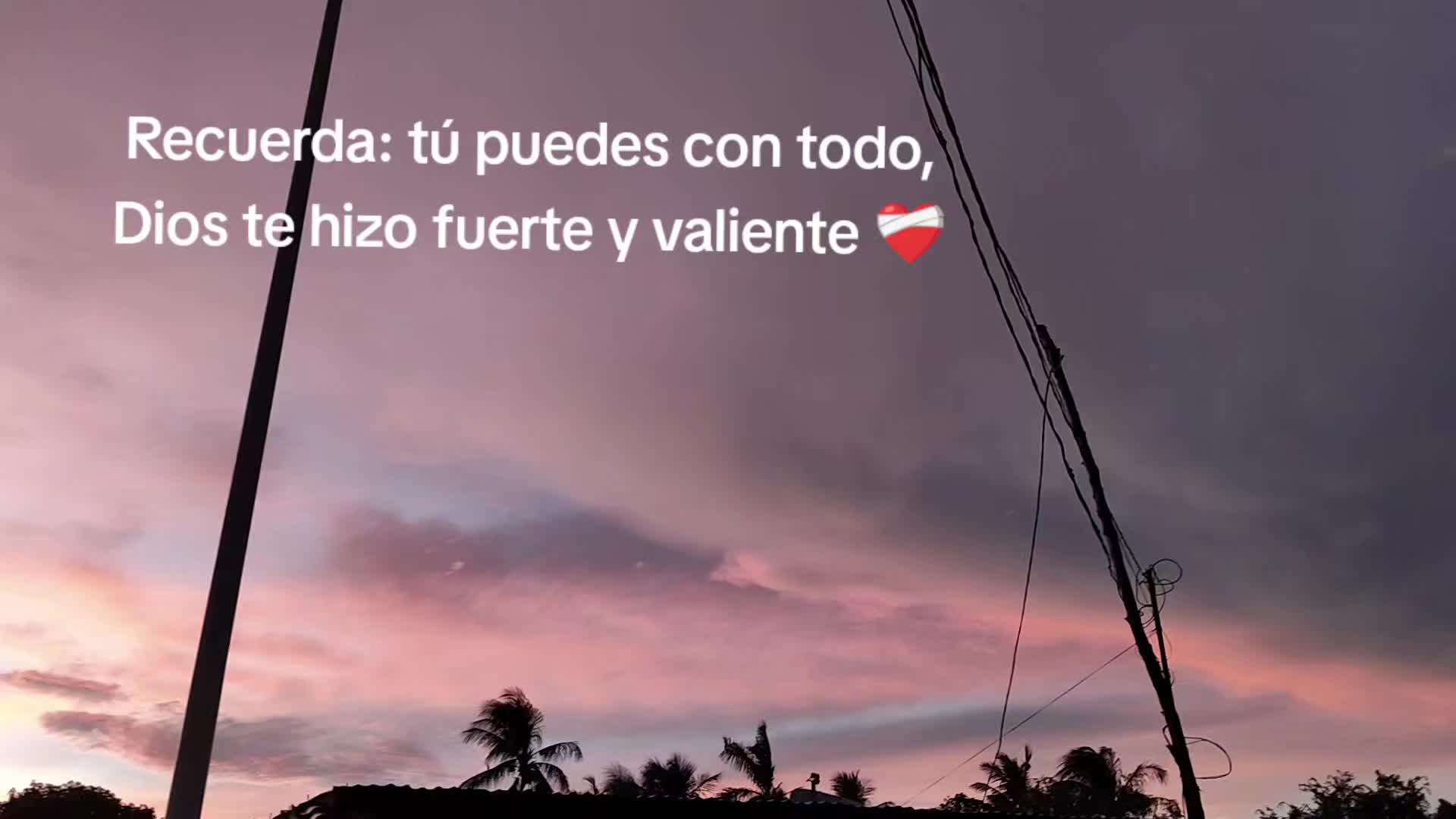 @✨Mili Flores✨