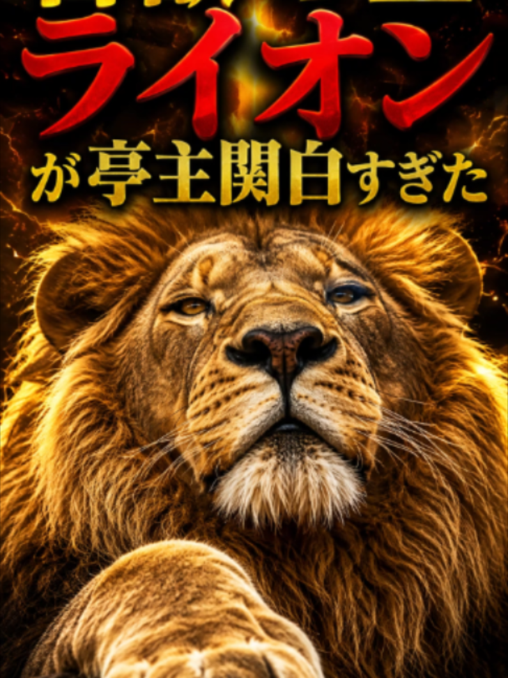 @bikkuri_animal_lab