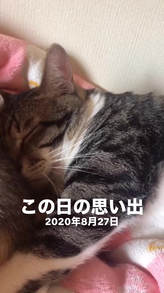 @♪♪ナォ♪♪
