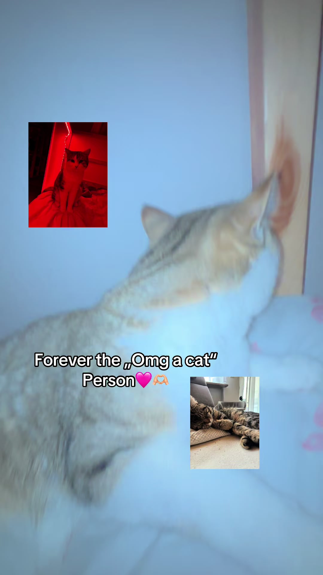 @𝐔𝐬𝐞𝐫.𝟑𝟗🪷