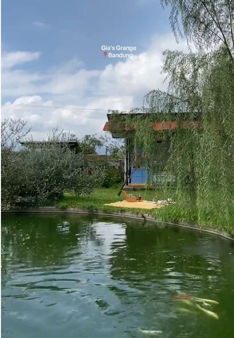 @yoland⋆౨ৎ˚