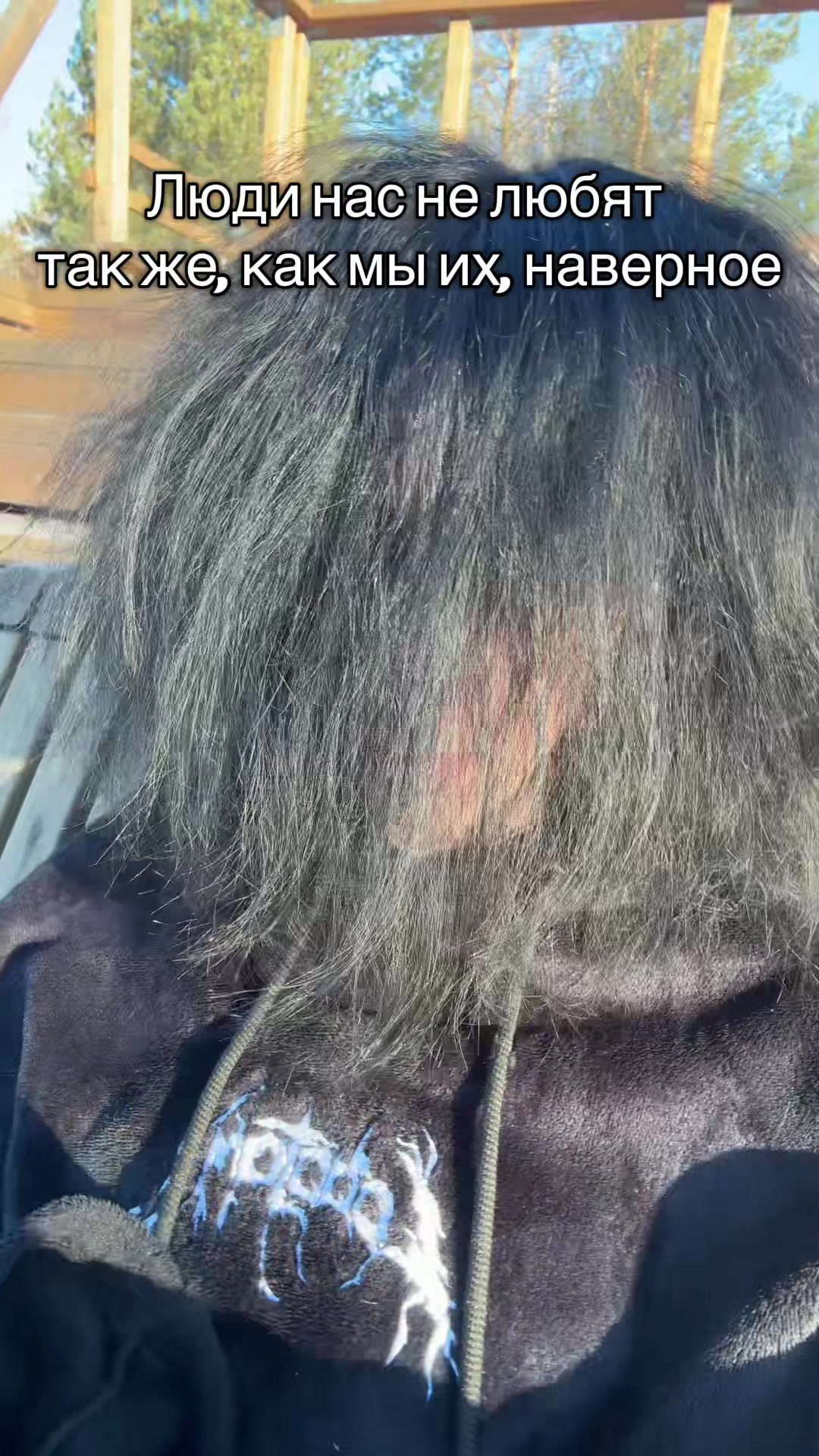 @LEWK1Y