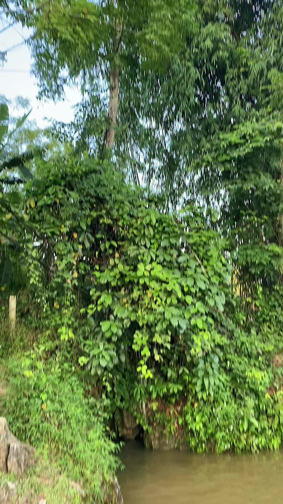 @N&ocirc;ng đức long