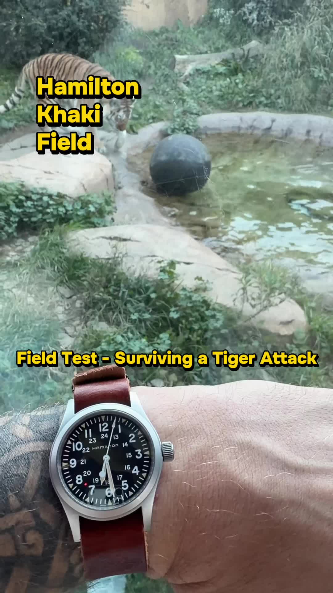 @samwearswatches