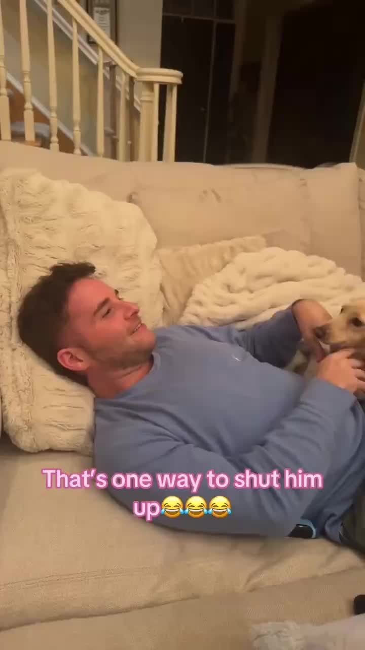 @Funny Animals😽🐶❤️