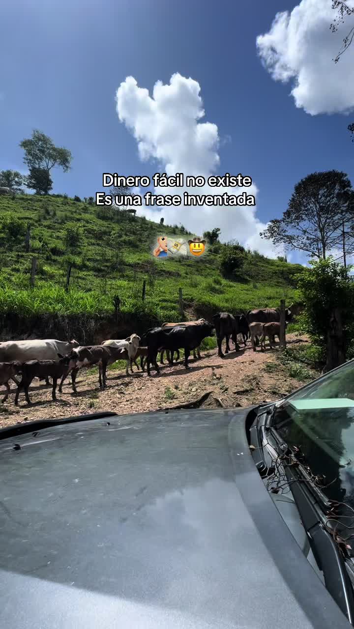 @𝙣𝙖𝙣𝙘𝙮-𝙧𝙞𝙫𝙚𝙧𝙖