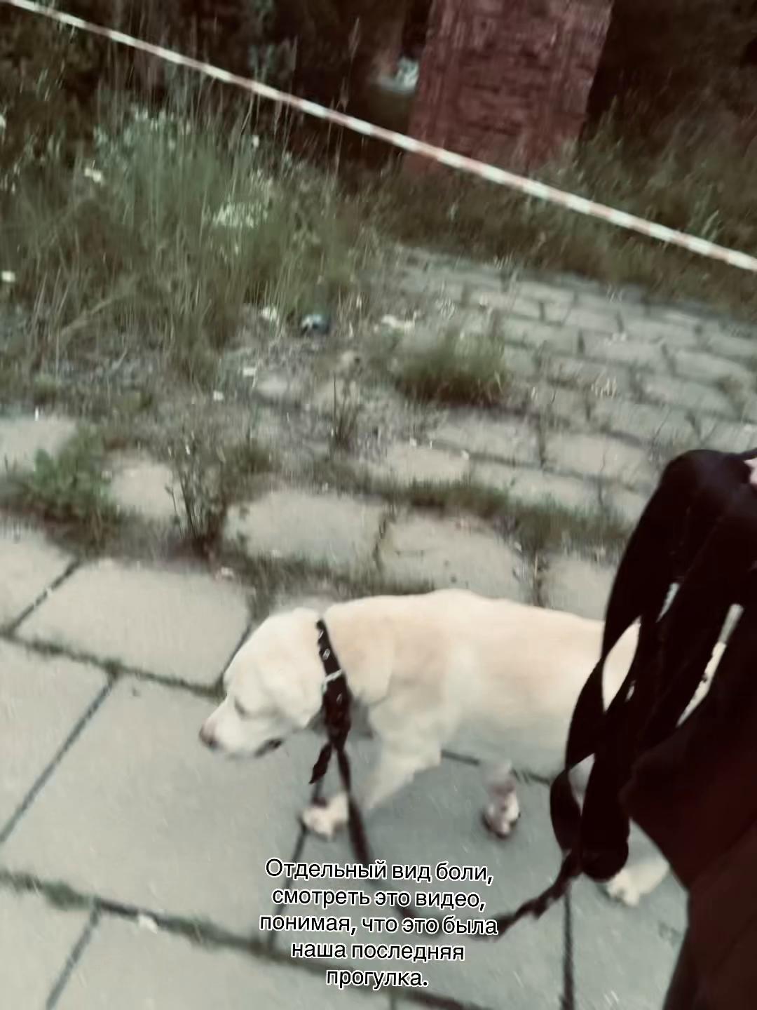 @полинка