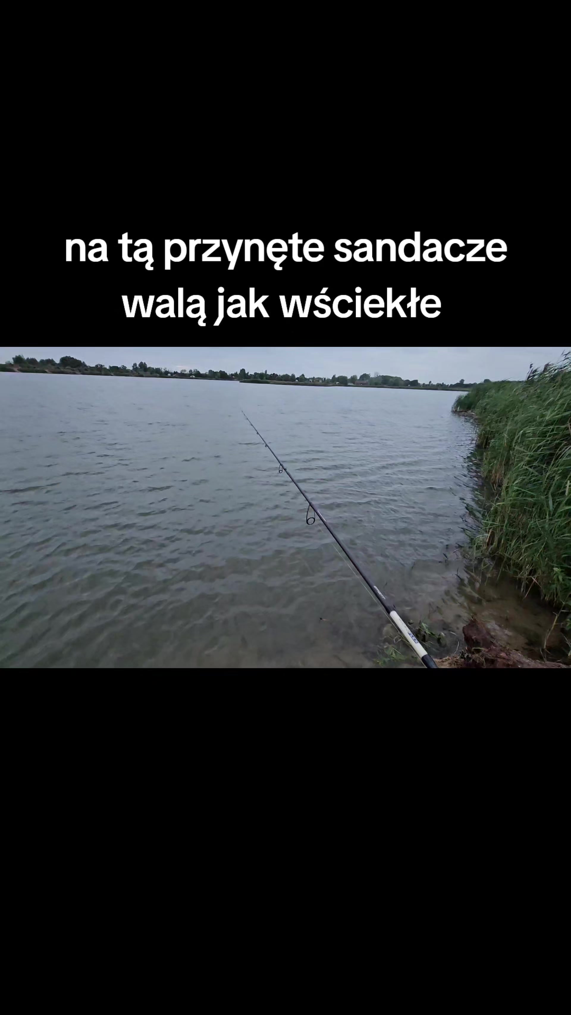 @mfly_lures